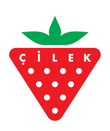 Cilek Maroc